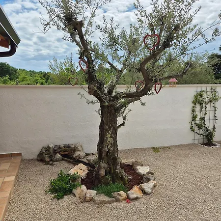 Apartment Vinja - Privat Garden - Whirlpool
